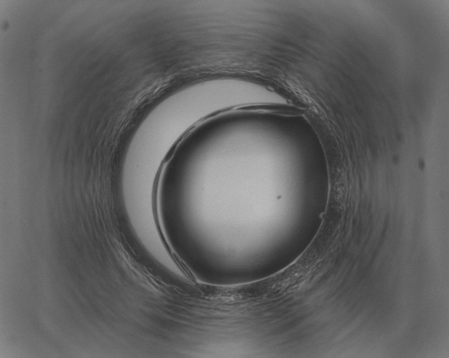 X0000065260639200603031829