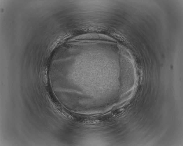 X0000065260642200603031829