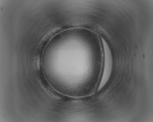 X0000065260644200603031829