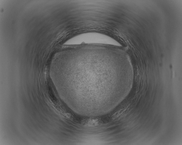 X0000065260647200603031830