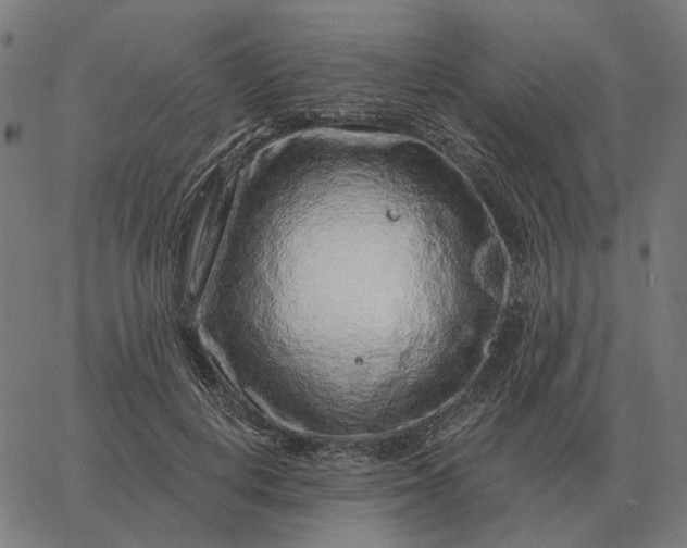 X0000065260648200603031830