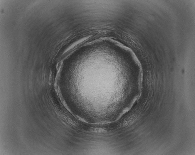 X0000065260649200603031830