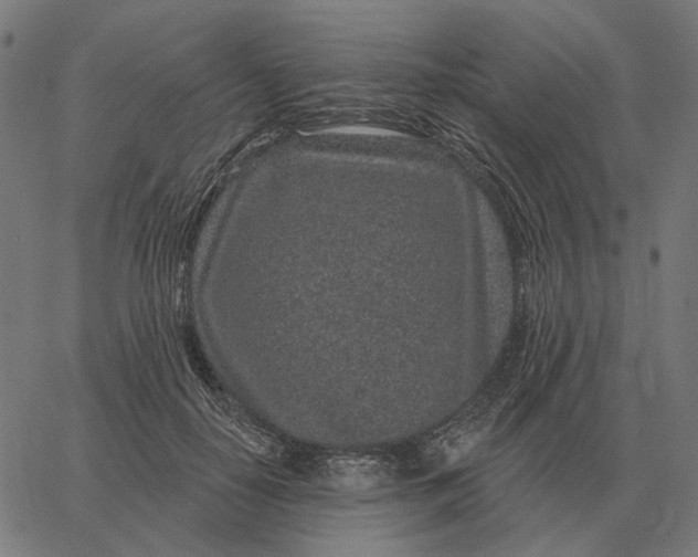 X0000065260650200603031830