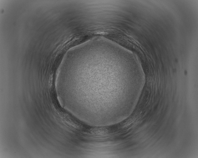 X0000065260652200603031830