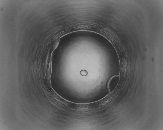 X0000065260653200603031830