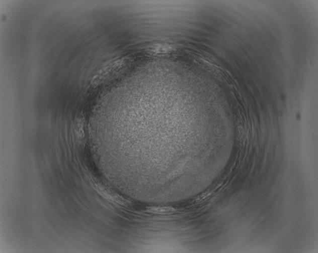 X0000065260654200603031830