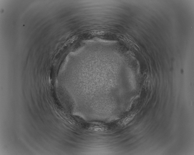 X0000065260655200603031830