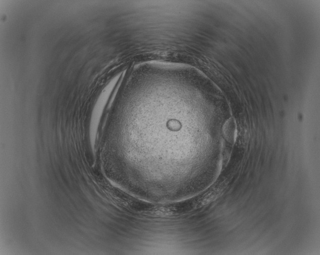 X0000065260656200603031830