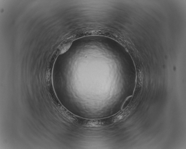 X0000065260657200603031830