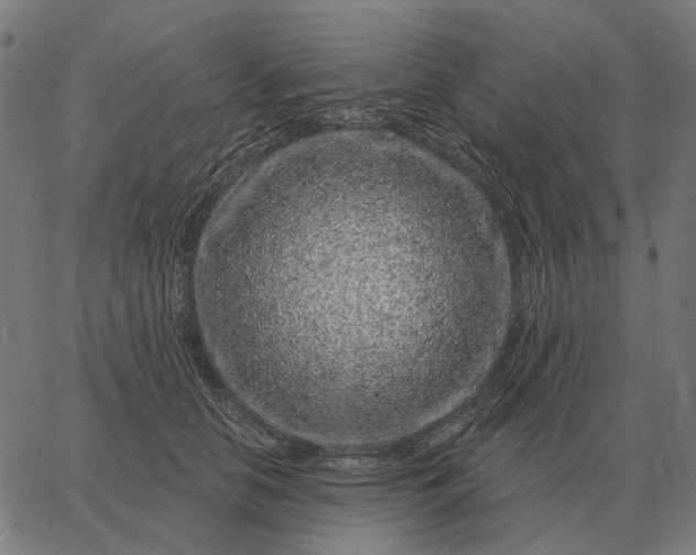 X0000065260658200603031830