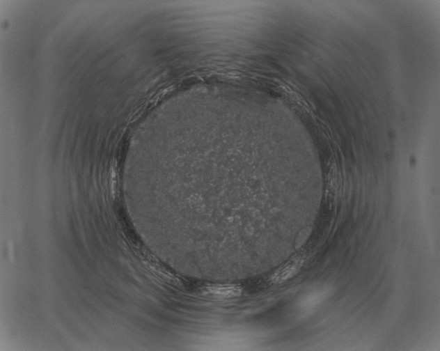 X0000065260659200603031830