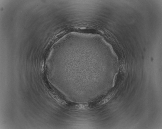 X0000065260660200603031830