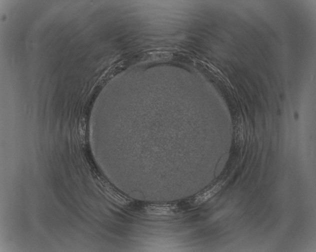 X0000065260661200603031830