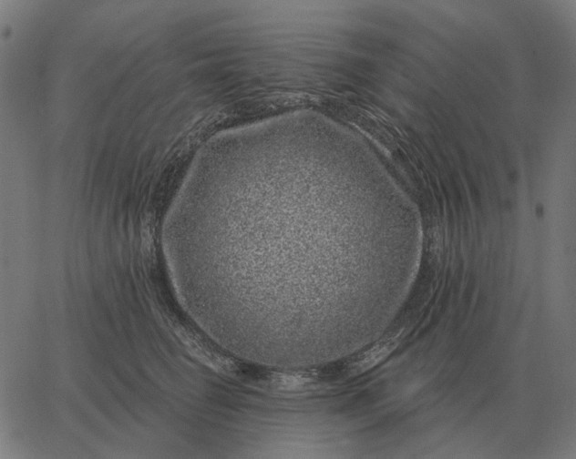 X0000065260662200603031830