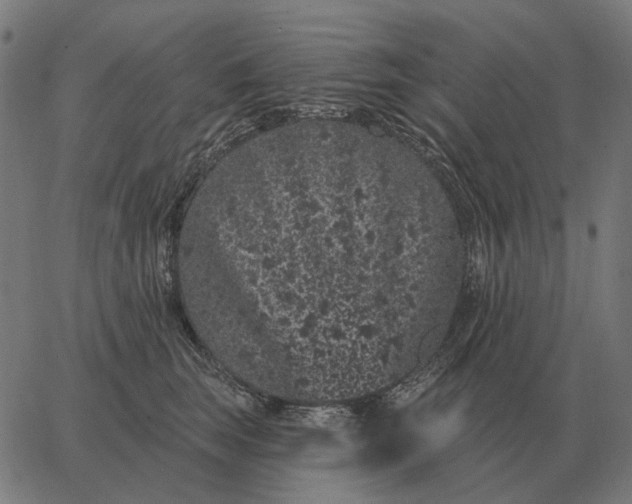 X0000065260663200603031830