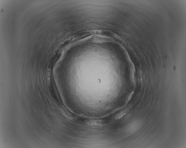 X0000065260664200603031830