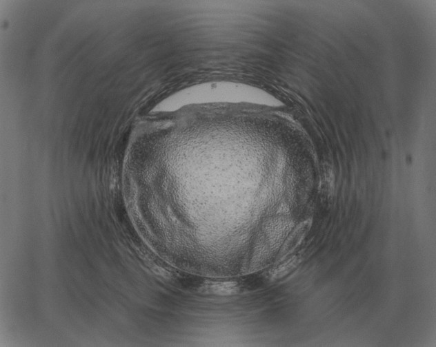 X0000065260665200603031830