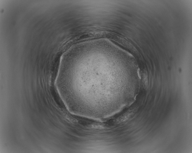 X0000065260668200603031830