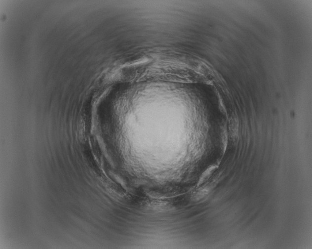 X0000065260669200603031830