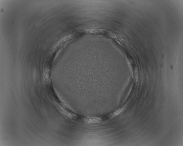 X0000065260670200603031830