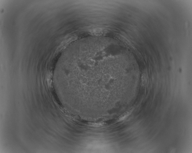 X0000065260671200603031830