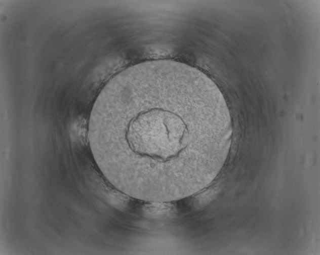 X0000065260672200603031830