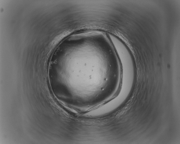 X0000065260673200603031829