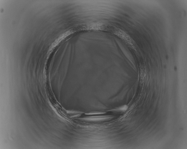 X0000065260674200603031829