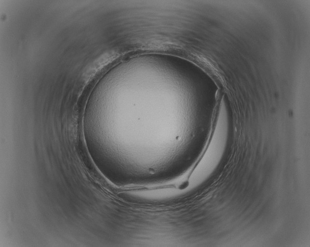 X0000065260675200603031829