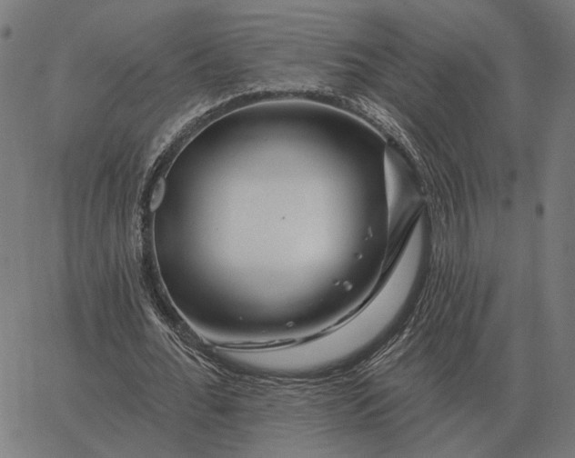 X0000065260676200603031829