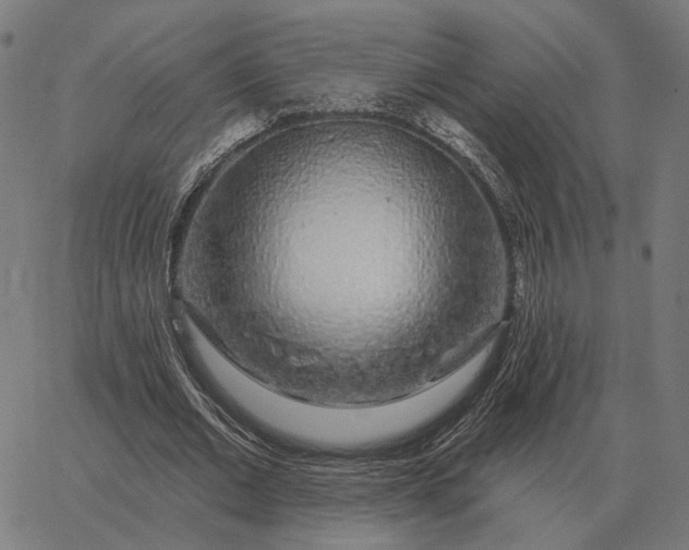 X0000065260677200603031829