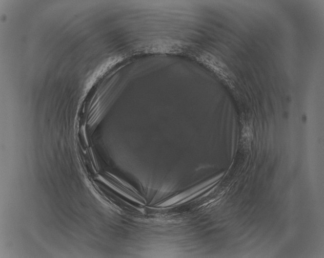 X0000065260678200603031829