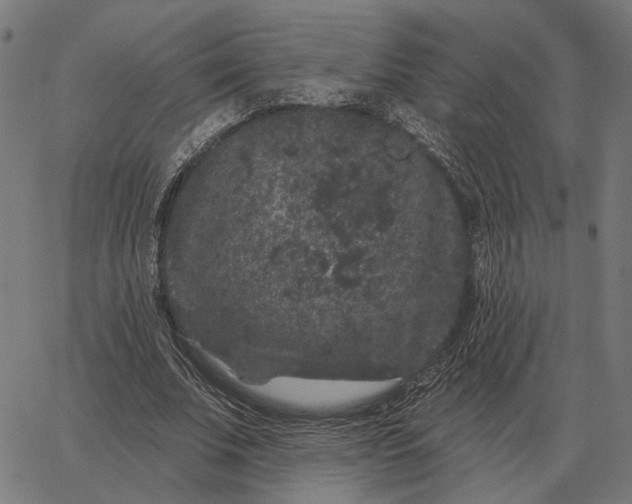 X0000065260679200603031829