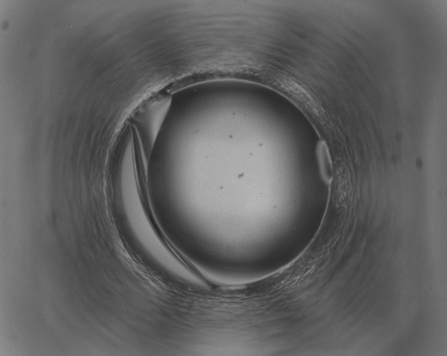 X0000065260680200603031829