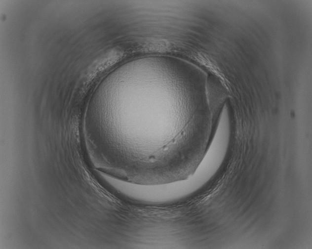 X0000065260681200603031829