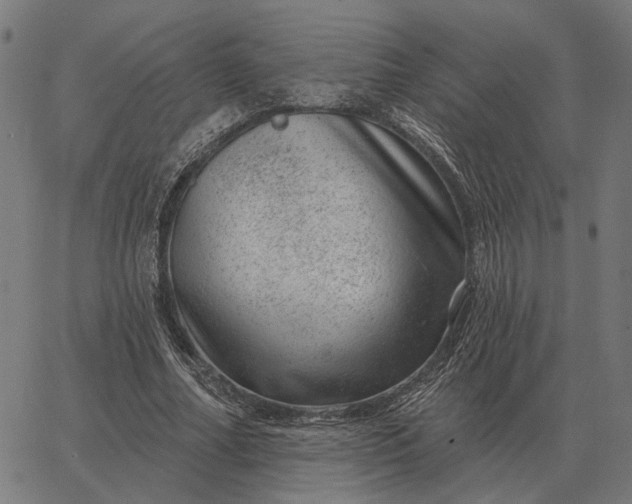 X0000065260682200603031829