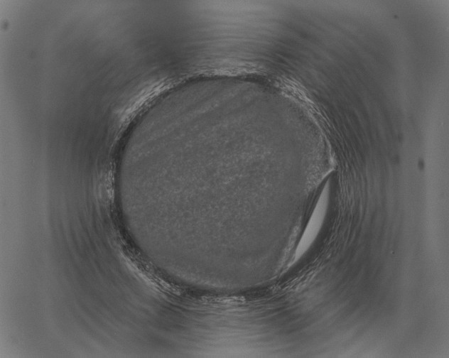 X0000065260683200603031829