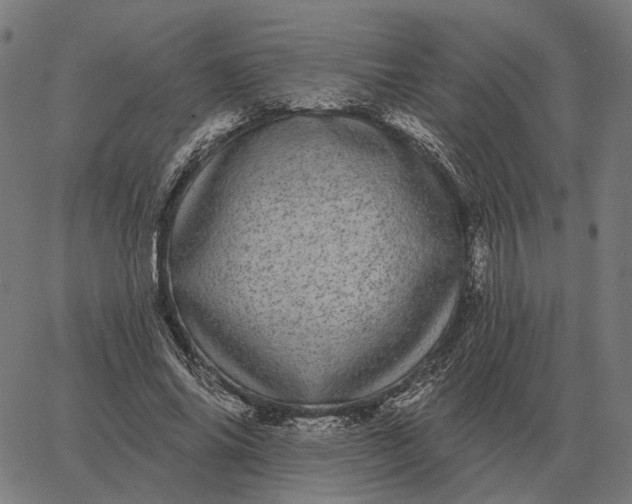 X0000065260686200603031829