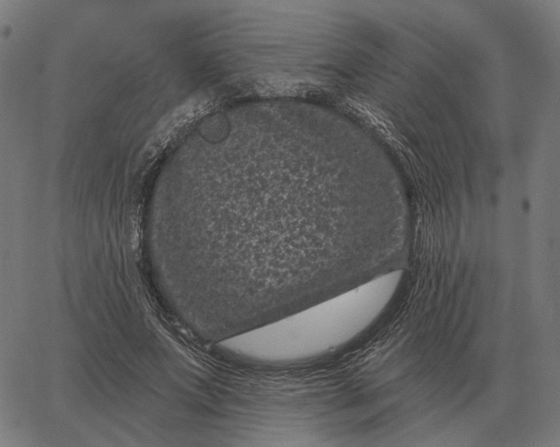 X0000065260687200603031829