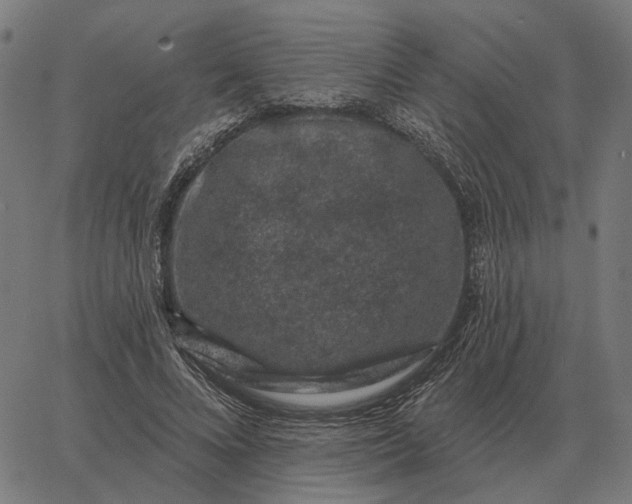 X0000065260688200603031829