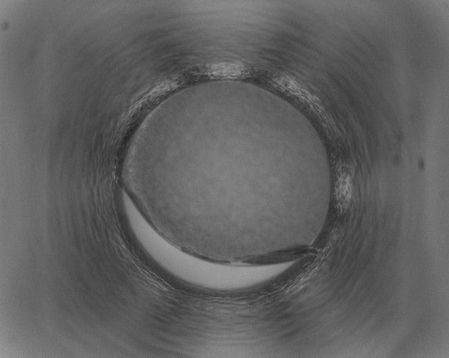 X0000065260689200603031829