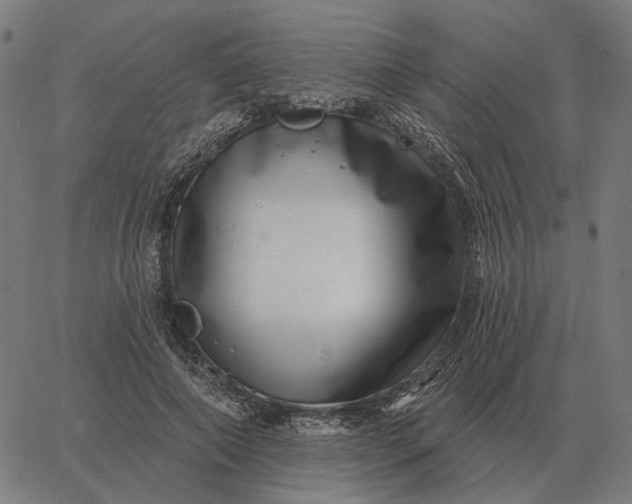 X0000065260690200603031829