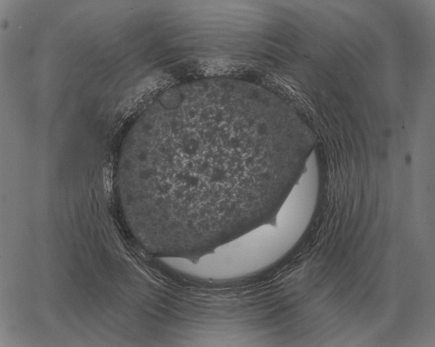 X0000065260691200603031829