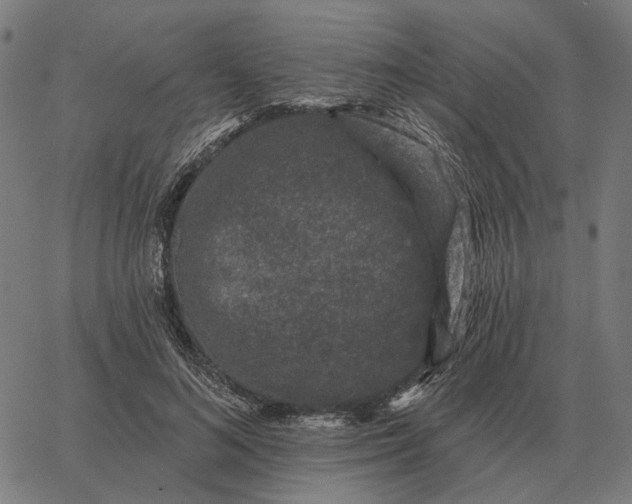 X0000065260692200603031829