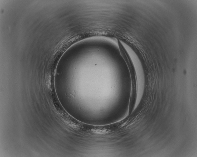 X0000065260693200603031829