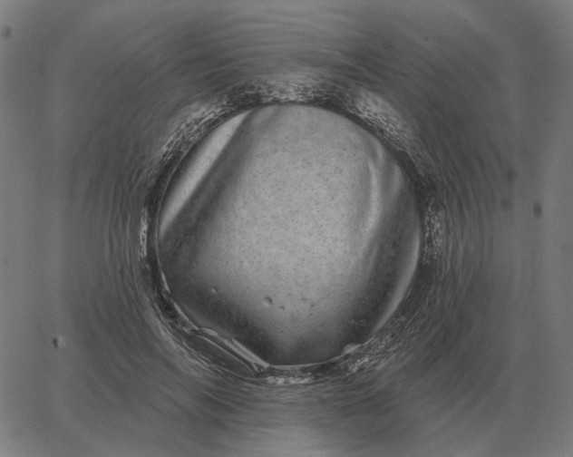 X0000065260694200603031829