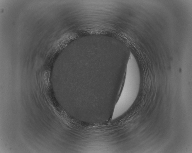 X0000065260695200603031829