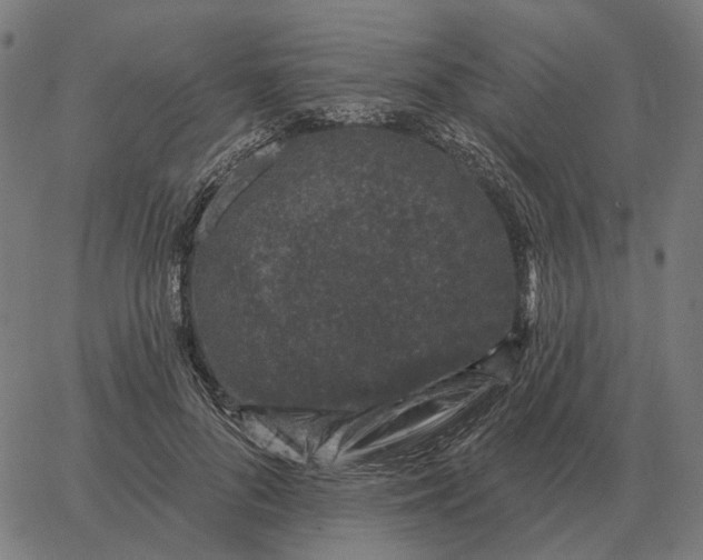 X0000065260696200603031829