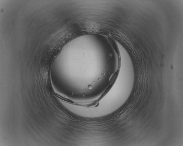 X0000065260697200603031829