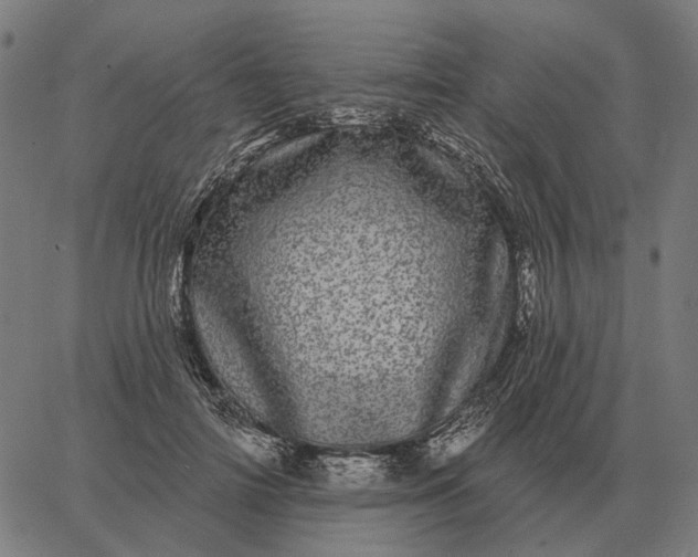 X0000065260698200603031829